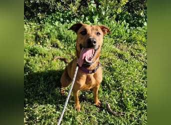 EMINA ist intelligent und lernwillig