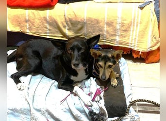 KIKO ist einfach perfekt