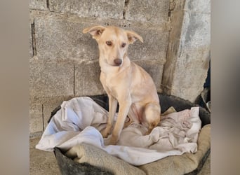 TEYA will gefördert werden