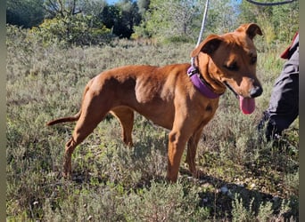 EMINA ist intelligent und lernwillig