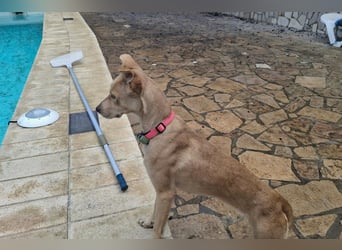 TEYA will gefördert werden