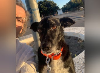 KIKO ist einfach perfekt