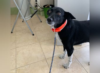 KIKO ist einfach perfekt