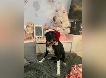 KIKO ist einfach perfekt