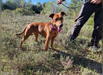 EMINA ist intelligent und lernwillig