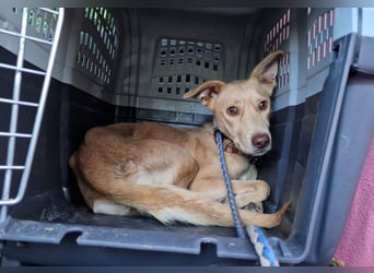 TEYA will gefördert werden