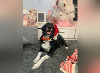 KIKO ist einfach perfekt