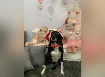 KIKO ist einfach perfekt