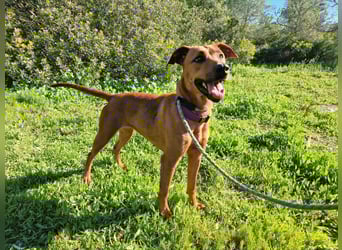 EMINA ist intelligent und lernwillig