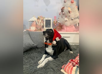 KIKO ist einfach perfekt