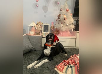 KIKO ist einfach perfekt