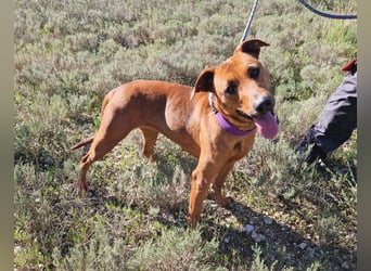 EMINA ist intelligent und lernwillig