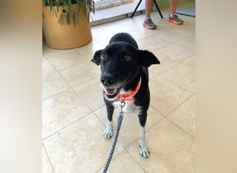 KIKO ist einfach perfekt