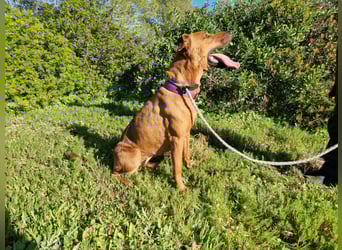 EMINA ist intelligent und lernwillig