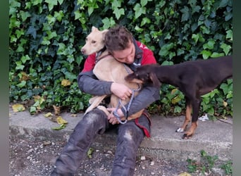 TEYA will gefördert werden