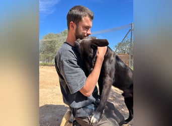 Unser Young Star TONI