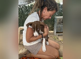 RUBY sucht ihre Familie
