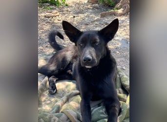 Unser Young Star TONI