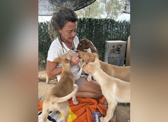 RUBY sucht ihre Familie