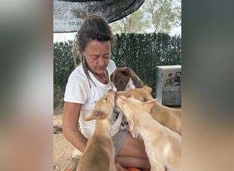 RUBY sucht ihre Familie