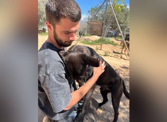 Unser Young Star TONI