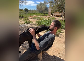 Unser Young Star TONI