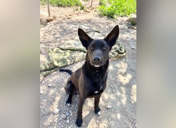 Unser Young Star TONI