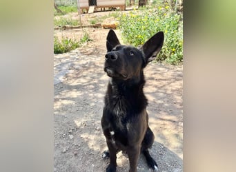 Unser Young Star TONI