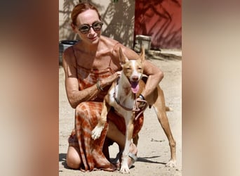 Rood - freundlich, aufgeschlossen und neugierig