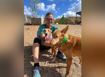 Samira (Spanien) – Lebensfrohe Schmusemaus sucht ihr Glück!