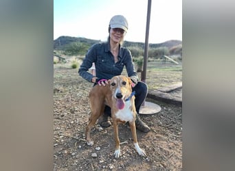 Samira (Spanien) – Lebensfrohe Schmusemaus sucht ihr Glück!