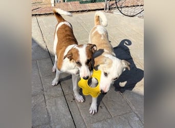 MOCCA wünscht sich ein Für-Immer-Zuhause