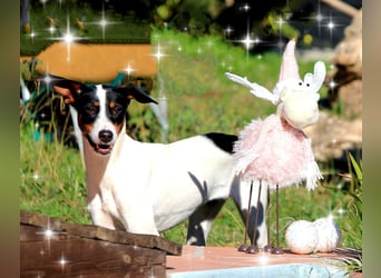 SUKI sucht ihren Partner-in-Crime