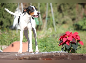 SUKI sucht ihren Partner-in-Crime