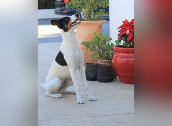 SUKI sucht ihren Partner-in-Crime