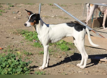 Suki sucht ihren Partner-in-Crime