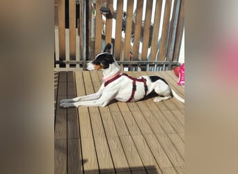 SUKI sucht ihren Partner-in-Crime