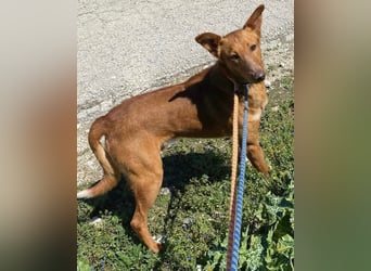 Mario 2 - lieb, sozial und sportlich