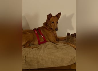 Mario 2 - lieb, sozial und sportlich