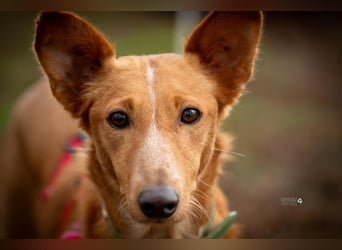 Mario 2 - lieb, sozial und sportlich