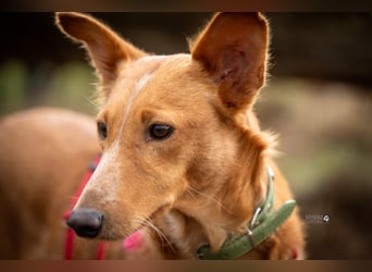 Mario 2 - lieb, sozial und sportlich