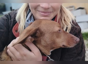 Ween (TO) liebevoll und sanft