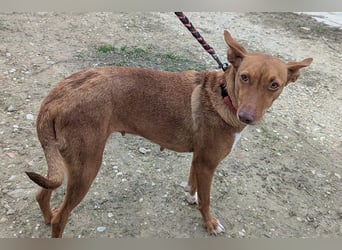 Ween (TO) liebevoll und sanft