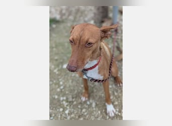 Ween (TO) liebevoll und sanft