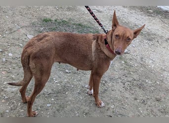 Ween (TO) liebevoll und sanft