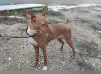 Ween (TO) liebevoll und sanft