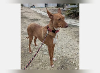 Ween (TO) liebevoll und sanft