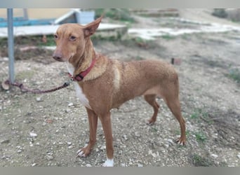 Ween (TO) liebevoll und sanft