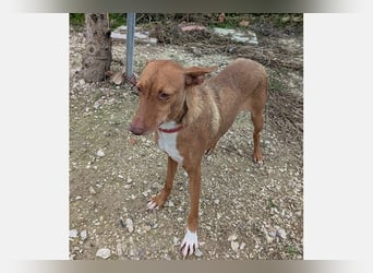 Ween (TO) liebevoll und sanft