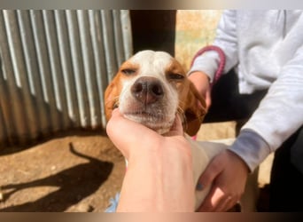 Fina auf Körbchensuche